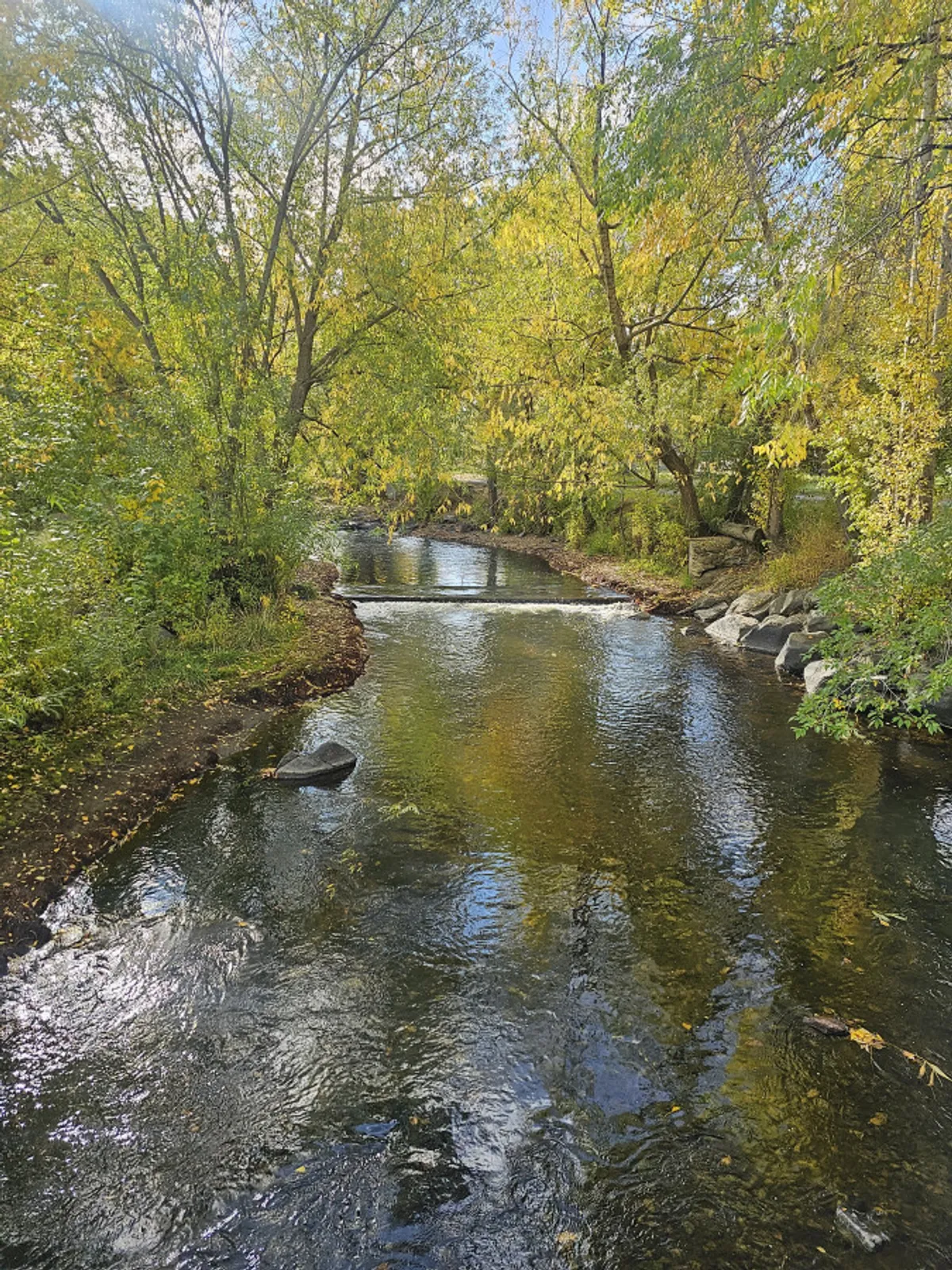 A peaceful meandering stream bordered by lush trees, with calm reflections on the water. The scene evokes tranquility and invites viewers to imagine walking or biking along a riverwalk path, enjoying nature and wildlife.