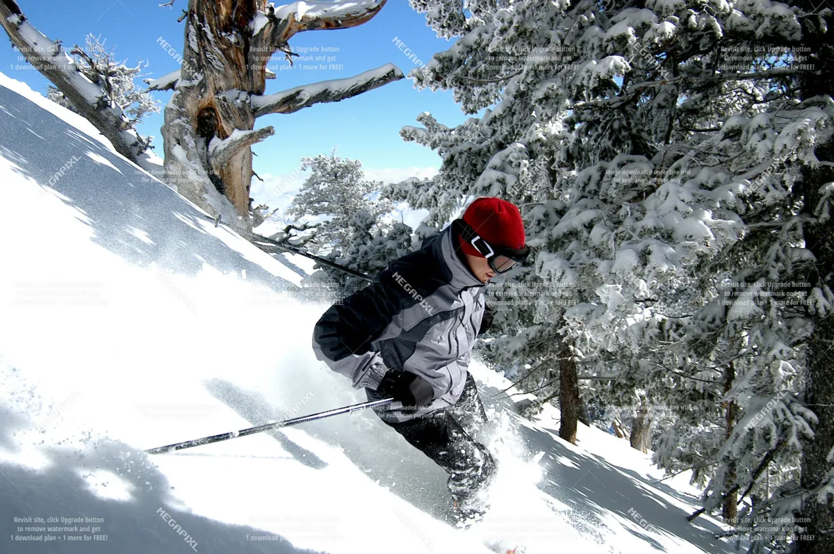 A dynamic scene of a skier navigating a snowy mountain slope, surrounded by pine trees and fresh powder, highlighting the excitement of winter recreation.
