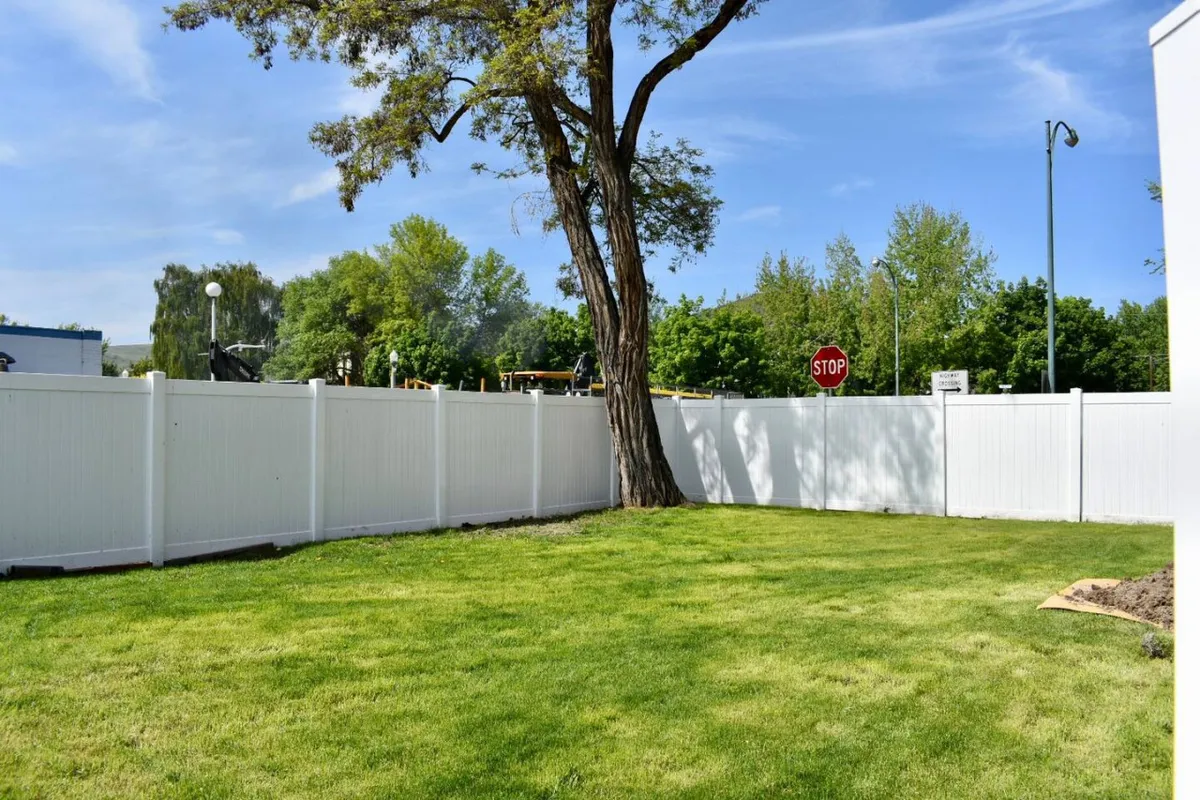 A spacious, green lawn bordered by a white fence and shaded by a large tree. The area is ideal for children running or pets playing, set in a quiet neighborhood context. The inviting space also hints at spots for relaxing or picnicking.